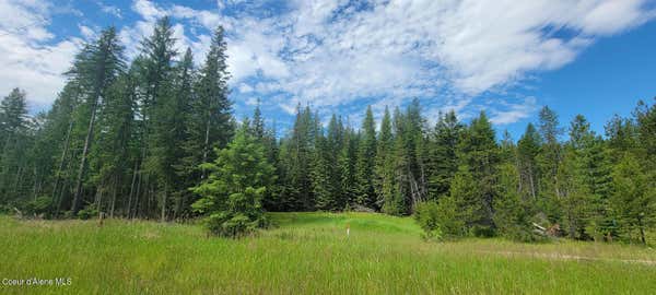 NNA CURLEY CREEK RD, MOYIE SPRINGS, ID 83845, photo 2 of 15