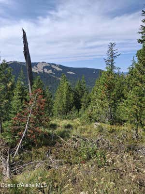 NKA EAGLE MINING DISTRICT, MURRAY, ID 83874, photo 2 of 5