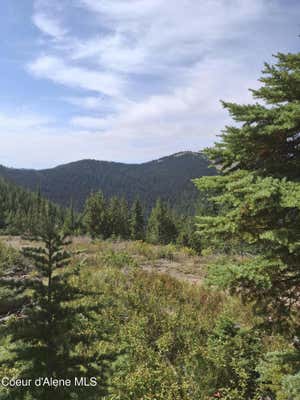 NKA EAGLE MINING DISTRICT, MURRAY, ID 83874 - Image 1