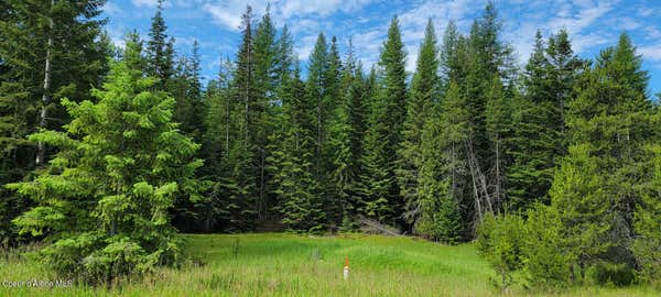 NNA CURLEY CREEK RD, MOYIE SPRINGS, ID 83845, photo 3 of 15