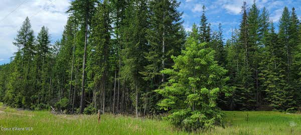 NNA CURLEY CREEK RD, MOYIE SPRINGS, ID 83845, photo 4 of 15