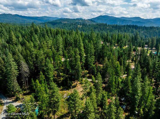 NNA ROLLINS BEACH LOOP, HAYDEN, ID 83835, photo 5 of 25