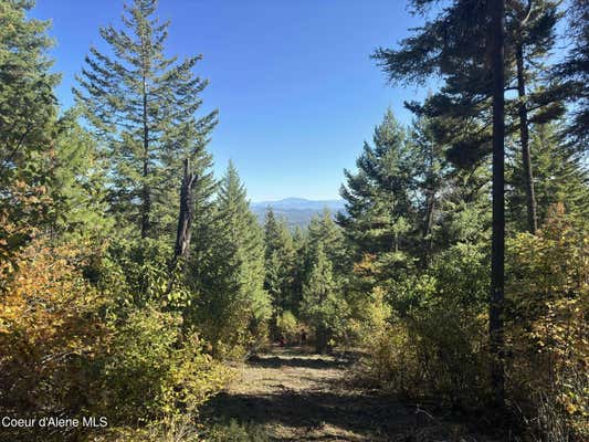 NNA RUSTIC WAY, LOT 9, SPIRIT LAKE, ID 83869 - Image 1