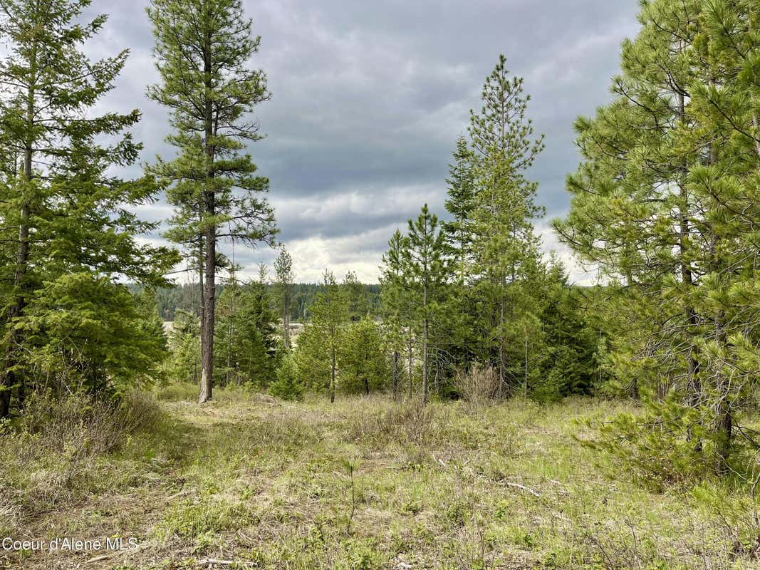 12AC ELIZABETH LN, ATHOL, ID 83801, photo 1 of 7