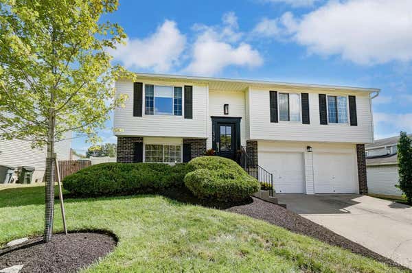 11572 NEW HOPE DR, CINCINNATI, OH 45240 - Image 1