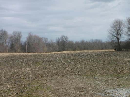 0 SPRING GROVE ROAD, BETHEL, OH 45106, photo 3 of 5