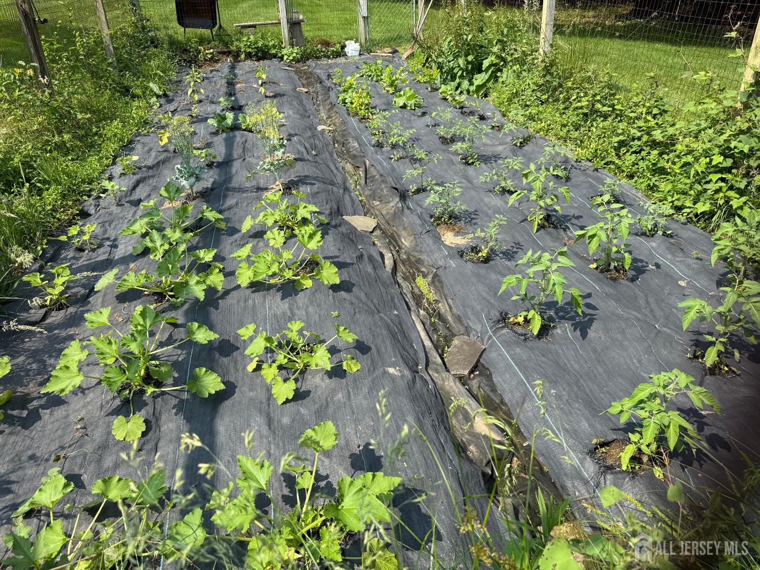 Holmdel, New Jersey, 07733, United States, 4 Bedrooms Bedrooms, ,3 BathroomsBathrooms,Residential,Active,1962178