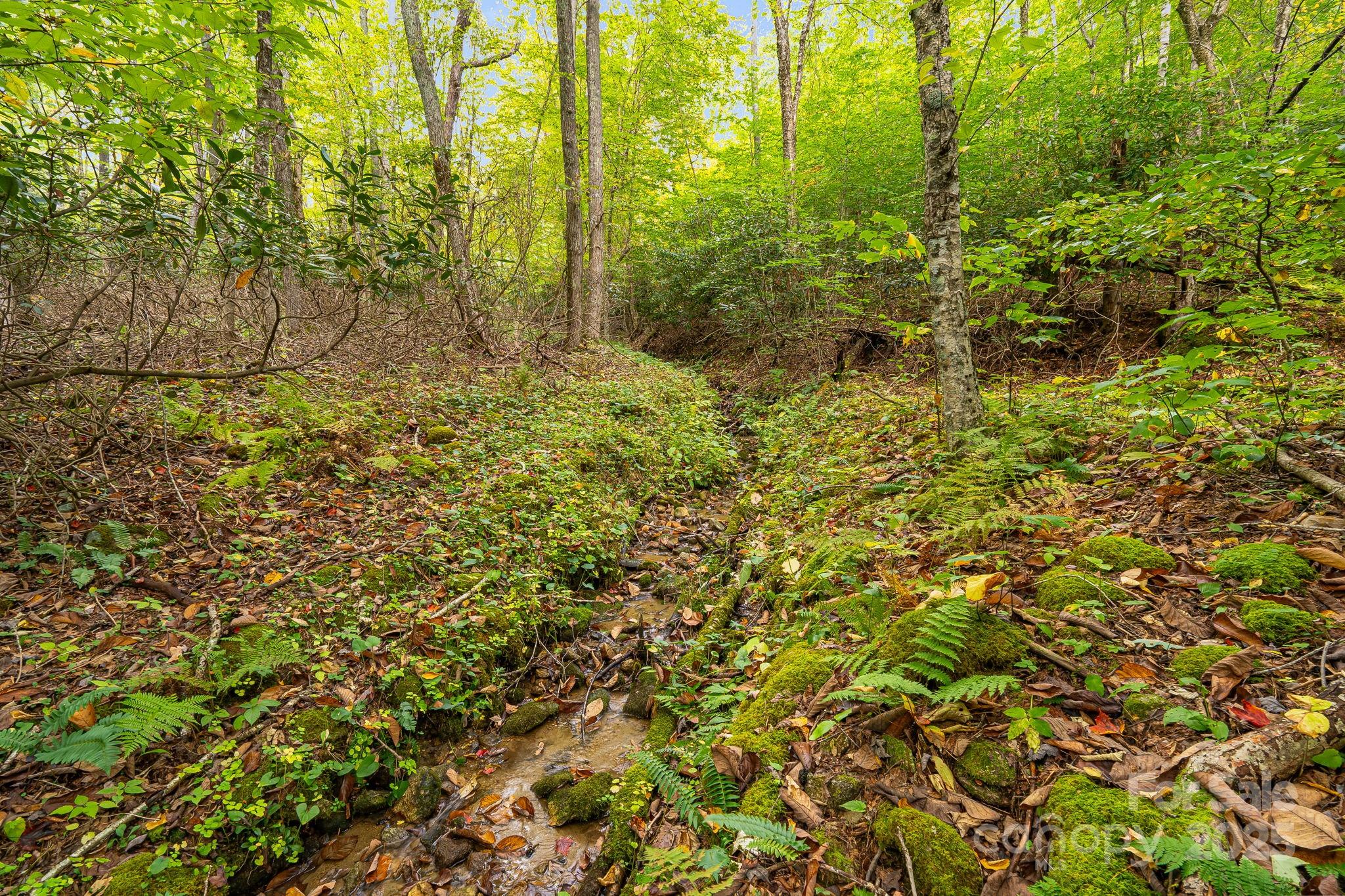 Mars Hill, North Carolina, 28754, United States, 4 Bedrooms Bedrooms, ,4 BathroomsBathrooms,Residential,Active,1960160