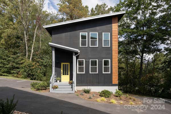 205 ASHBY COTTAGE LN, ASHEVILLE, NC 28804 - Image 1