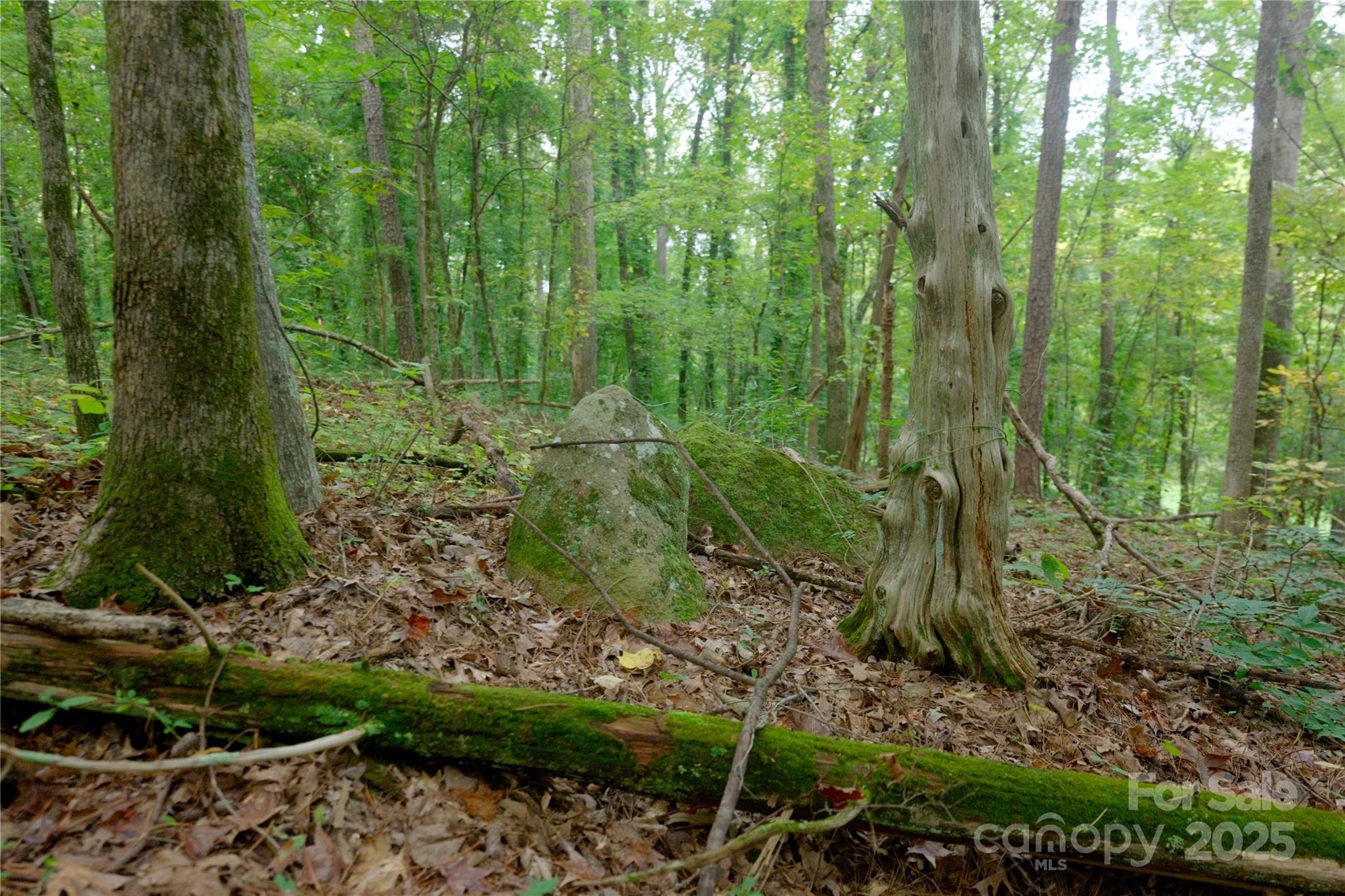 Concord, North Carolina, 28027, United States, 2 Bedrooms Bedrooms, ,1 BathroomBathrooms,Residential,Active,1954431