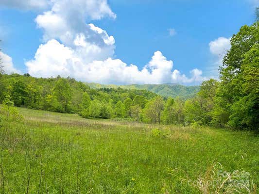 TBD BALTIMORE BRANCH ROAD, HOT SPRINGS, NC 28743 - Image 1