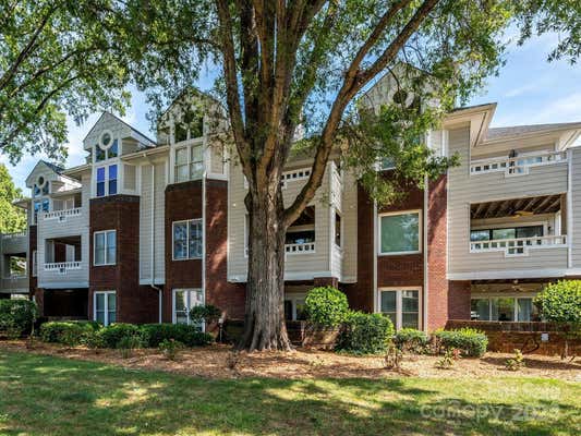 2719 SELWYN AVE APT 3, CHARLOTTE, NC 28209 - Image 1