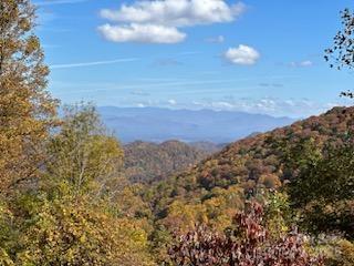 Leicester, North Carolina, 28748, United States, ,5 BathroomsBathrooms,Residential,Active,1769306