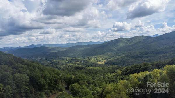 TBD LOVEBIRD LANE, CANDLER, NC 28715 - Image 1