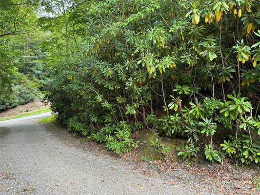 000 SHEEPBACK MOUNTAIN ROAD, MAGGIE VALLEY, NC 28751 - Image 1