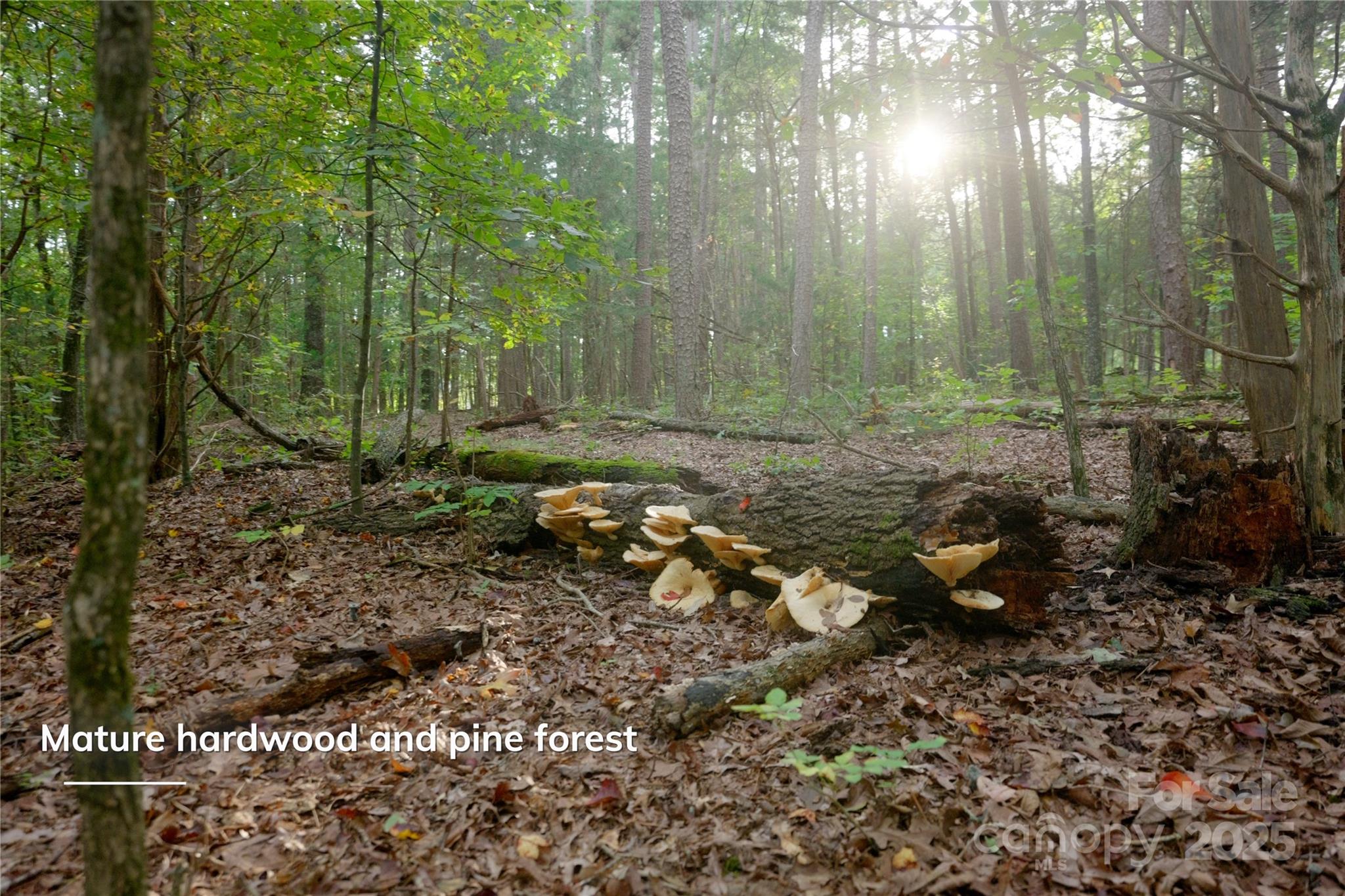 Concord, North Carolina, 28027, United States, 2 Bedrooms Bedrooms, ,1 BathroomBathrooms,Residential,Active,1954431