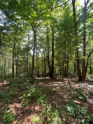 LOT # 21 HAVERHILL COURT # 21, FLAT ROCK, NC 28731 - Image 1