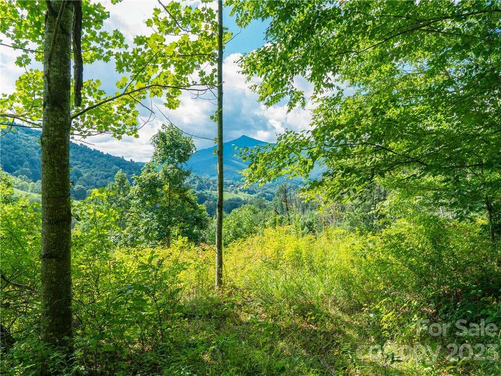 LOT 7 LOCUST ROUGH MOUNTAIN ROAD, BURNSVILLE, NC 28714, photo 1 of 29