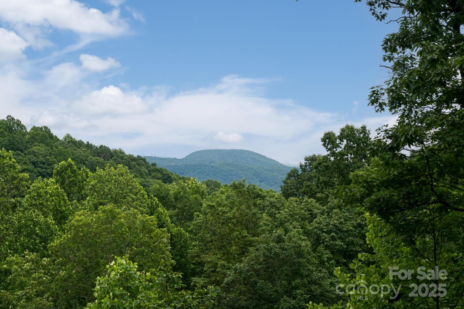 Flat Rock, North Carolina, 28731, United States, ,4 BathroomsBathrooms,Residential,Active,1860239