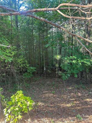 TBD HIDDEN LAKE PARKWAY # 50, NEBO, NC 28761 - Image 1