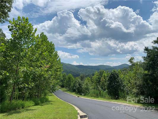 555 STONEFLY DR # 145, MILLS RIVER, NC 28742, photo 3 of 4