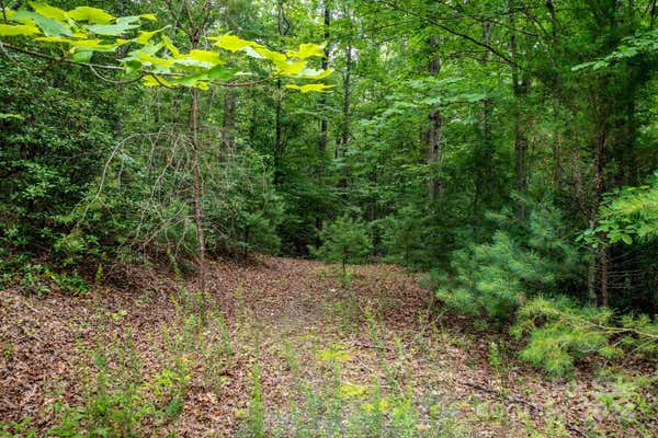 LOT# 11 BRIDLE RIDGE WAY # 11, LENOIR, NC 28645 - Image 1