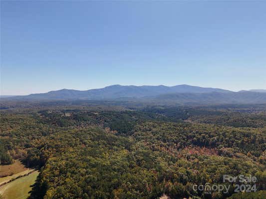 46.6 ACRES REGAN JACKSON ROAD, MILL SPRING, NC 28756 - Image 1