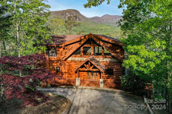 317 WATERSIDE DR, LAKE LURE, NC 28746 - Image 1