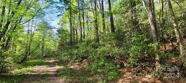 B1-3 OFF OLD TOXAWAY ROAD, BREVARD, NC 28712, photo 5 of 7