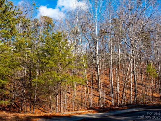 LOT 29 DEEP GAP FARM ROAD E, MILL SPRING, NC 28756, photo 5 of 14