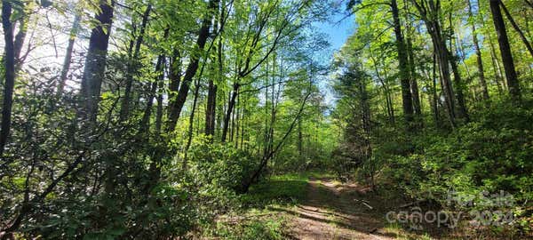 B1-3 OFF OLD TOXAWAY ROAD, BREVARD, NC 28712, photo 4 of 7