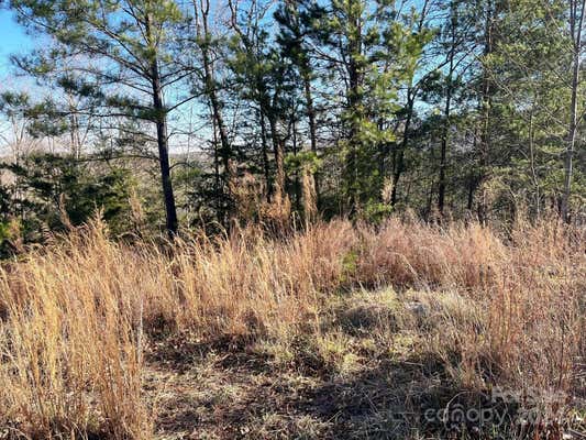 LOT 30 MOUNTAIN PARKWAY, MILL SPRING, NC 28756, photo 4 of 18