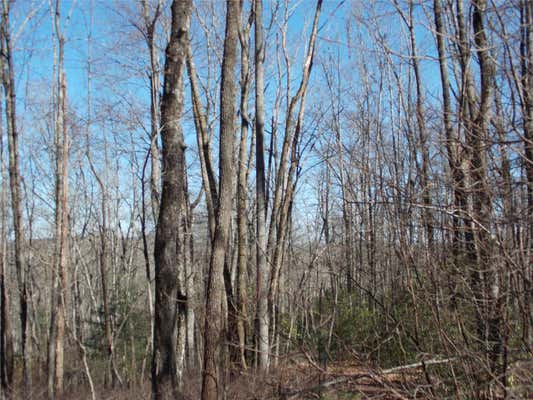 TBD RAYNOLDS RIDGE, LAKE TOXAWAY, NC 28747, photo 2 of 10