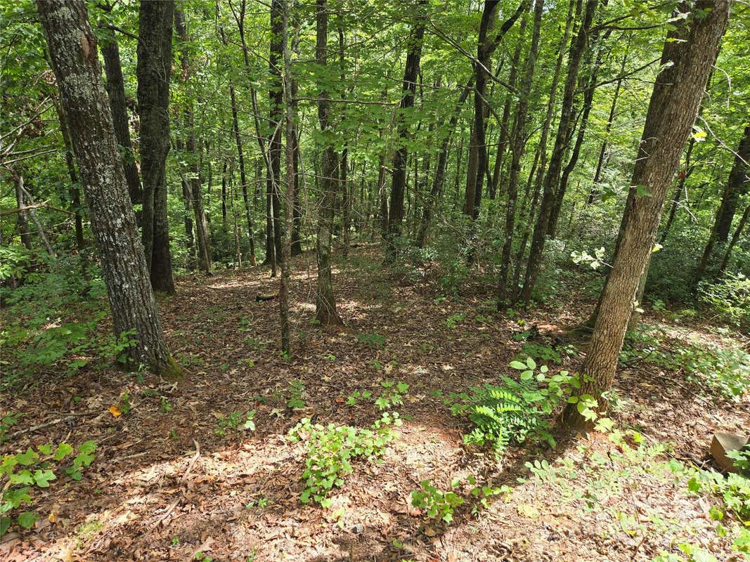 LOT 167 & 170 DEERFIELD DRIVE, LAKE LURE, NC 28746, photo 1 of 16