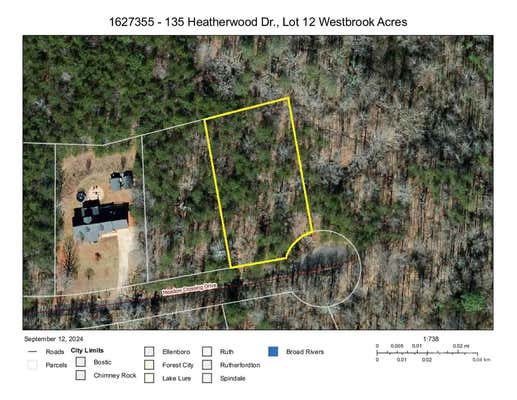 135 HEATHERWOOD DR # 12, RUTHERFORDTON, NC 28139 - Image 1