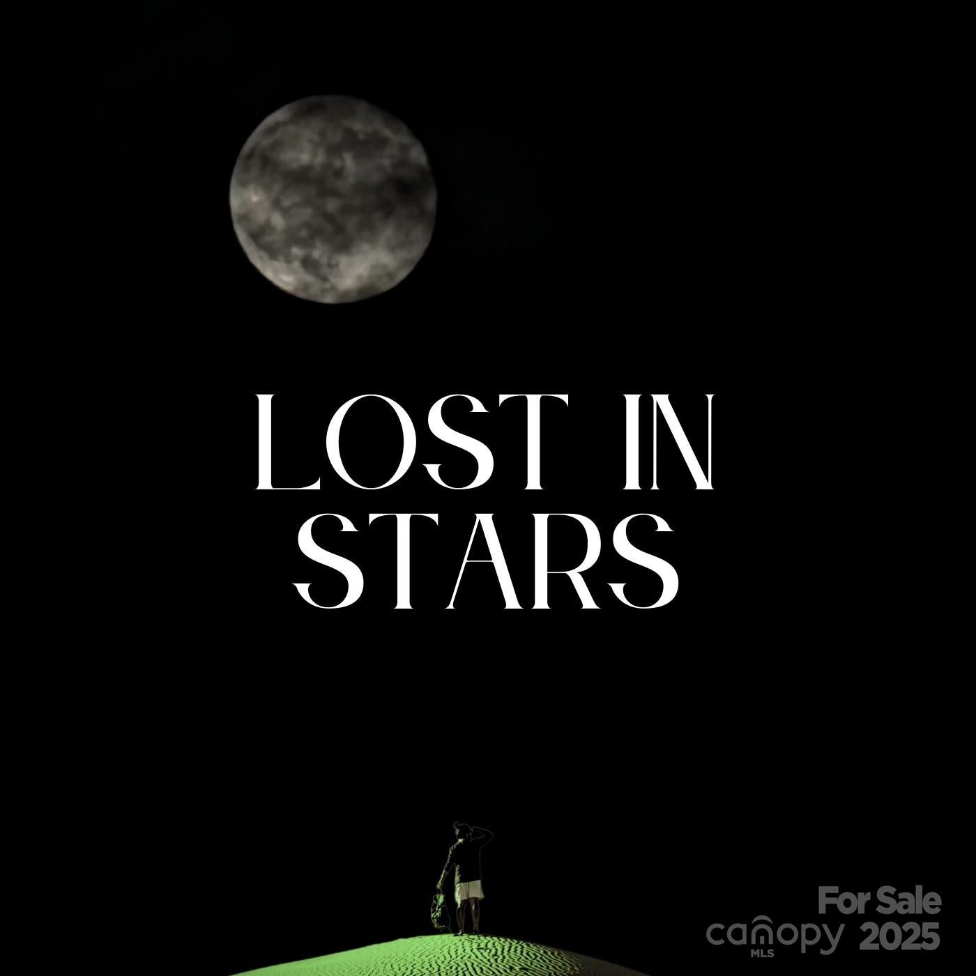 Leicester, North Carolina, 28748, United States, ,5 BathroomsBathrooms,Residential,Active,1769306