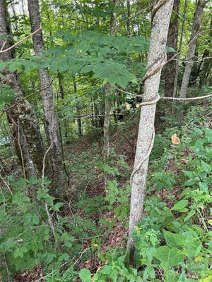 0000 CONLEY DRIVE, MAGGIE VALLEY, NC 28751, photo 3 of 4