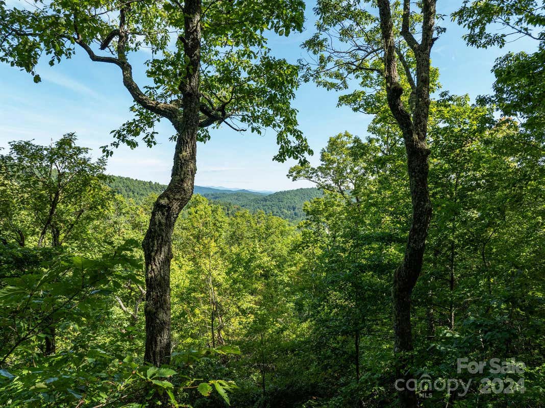 LOT 25 PANTHER MOUNTAIN ROAD # CVN-CVN-025, ZIRCONIA, NC 28790, photo 1 of 33