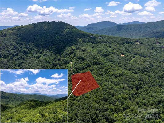 561 N HAVEN DR # T-52, BLACK MOUNTAIN, NC 28711 - Image 1