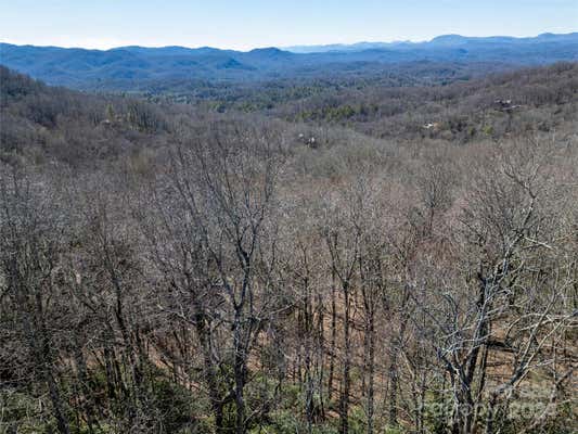 TBD CONNESTEE TRAIL # L31/U01, BREVARD, NC 28712 - Image 1