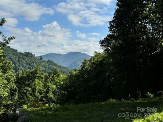 0 SCOTTS TRAIL, SPRING CREEK, NC 28743 - Image 1