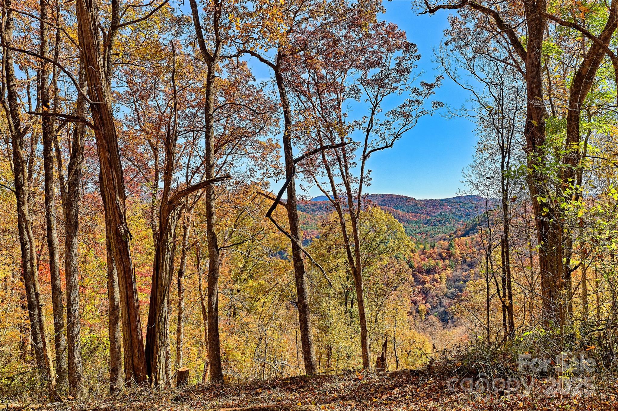 Highlands, North Carolina, 28741, United States, 2 Bedrooms Bedrooms, ,2 BathroomsBathrooms,Residential,Active,1993941