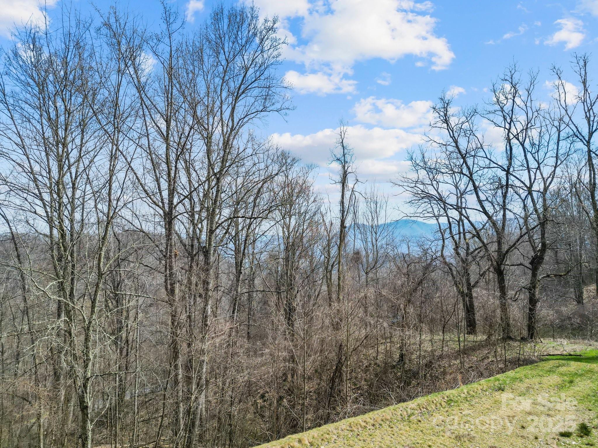 Leicester, North Carolina, 28748, United States, ,5 BathroomsBathrooms,Residential,Active,1769306