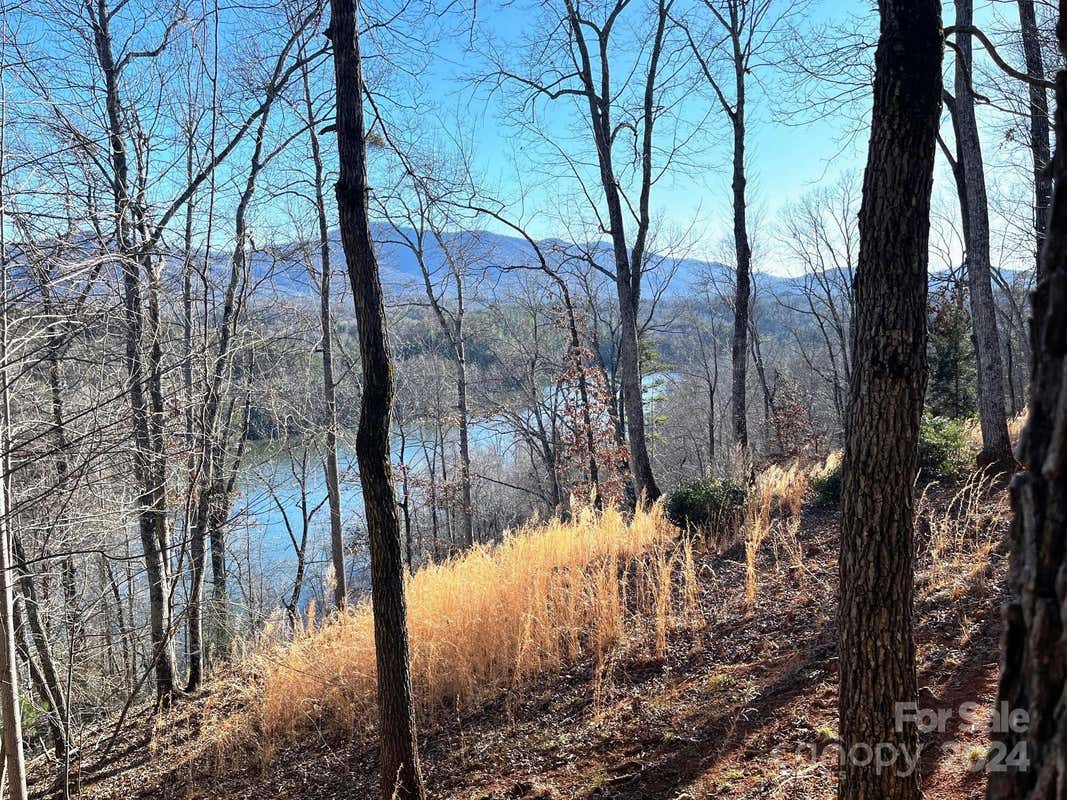 LOT 30 MOUNTAIN PARKWAY, MILL SPRING, NC 28756, photo 1 of 18