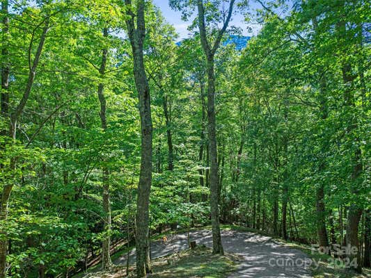 9 CELO HEIGHTS WAY, BURNSVILLE, NC 28714, photo 3 of 44