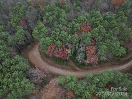 LOT 12 WILDLIFE DRIVE, CLYDE, NC 28721 - Image 1