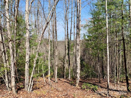 LOT 34 POPLAR BLUFF DRIVE # LOT 34, LENOIR, NC 28645, photo 2 of 45