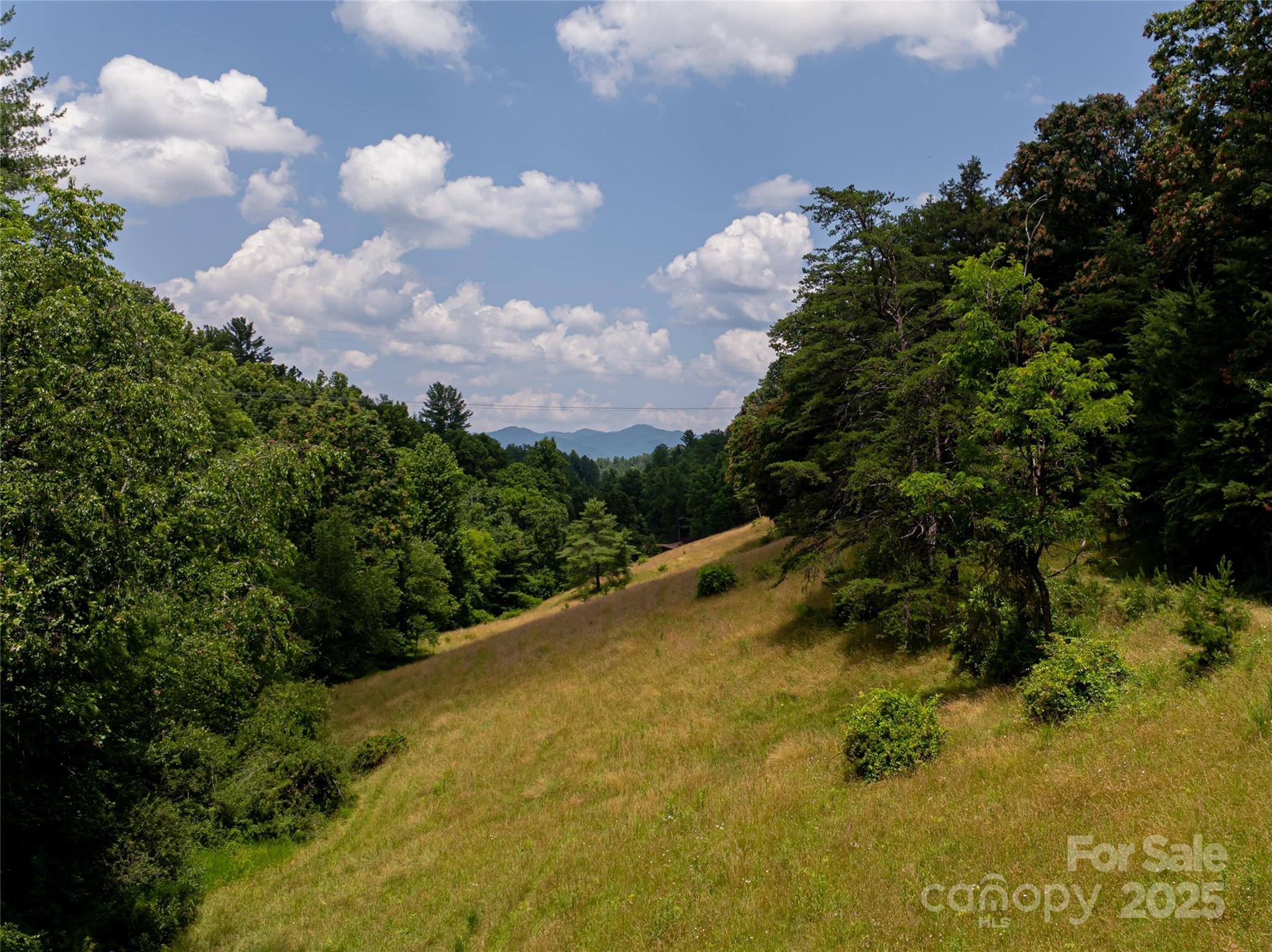 Weaverville, North Carolina, 28787, United States, 3 Bedrooms Bedrooms, ,2 BathroomsBathrooms,Residential,Active,1892411