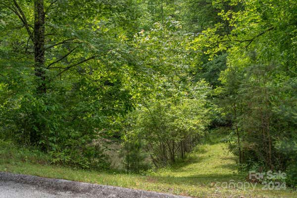 LOT #27 & 24 AWI TRAIL, HENDERSONVILLE, NC 28739 - Image 1