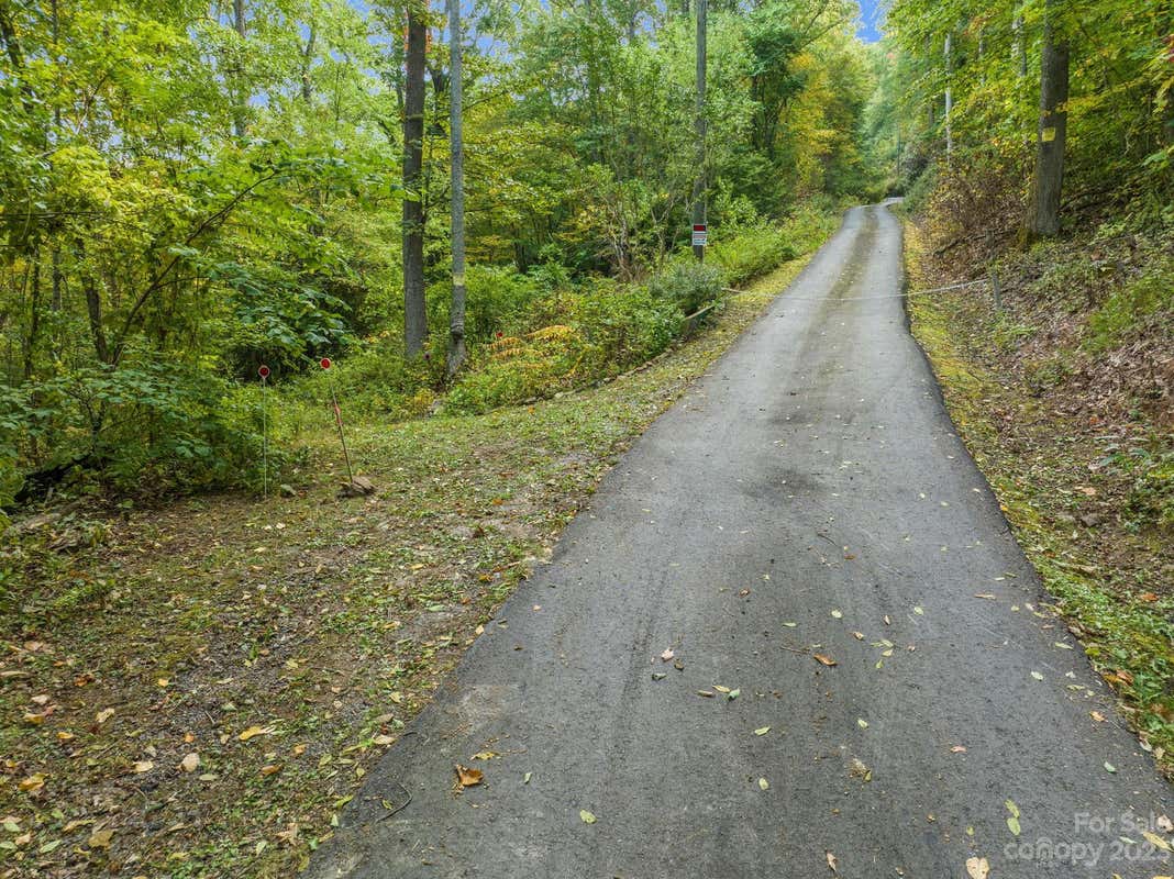 99999 SHOPE CREEK ESTATES DR, ASHEVILLE, NC 28805, photo 1 of 25